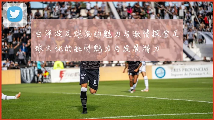 白洋淀足球场的魅力与激情探索足球文化的独特魅力与发展潜力