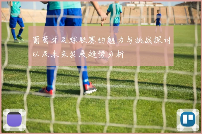 葡萄牙足球联赛的魅力与挑战探讨以及未来发展趋势分析
