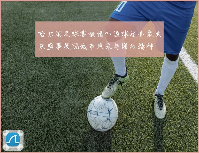 哈尔滨足球赛激情四溢球迷齐聚共庆盛事展现城市风采与团结精神