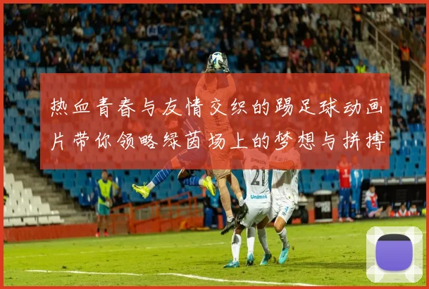 热血青春与友情交织的踢足球动画片带你领略绿茵场上的梦想与拼搏