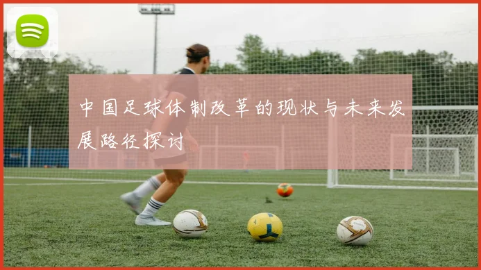 中国足球体制改革的现状与未来发展路径探讨